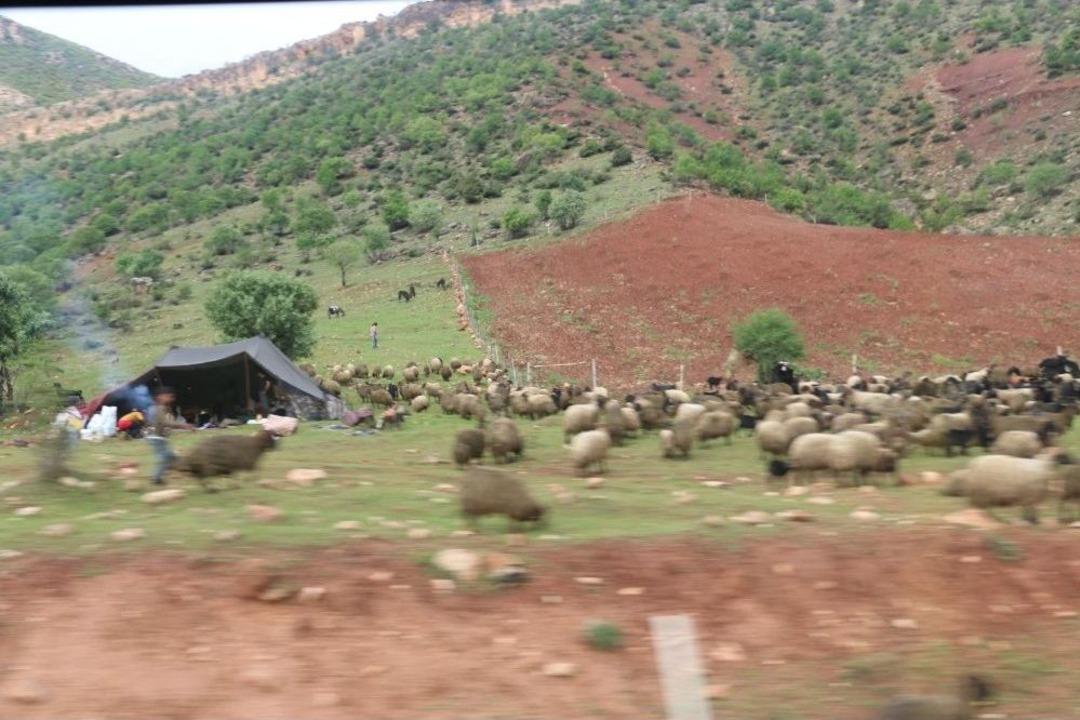 Dağlar Artık Çok Huzurlu