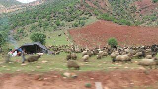 Dağlar Artık Çok Huzurlu