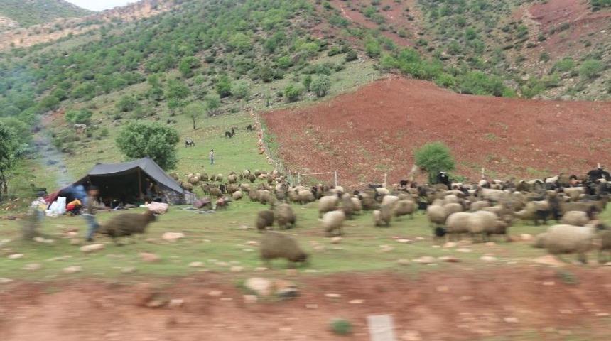 Dağlar Artık Çok Huzurlu