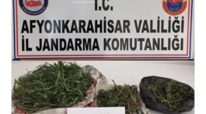 Jandarmadan Uyuşturucu Operasyonu