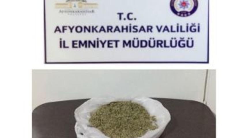 Durdurulan Araçtan Bonzai Çıktı