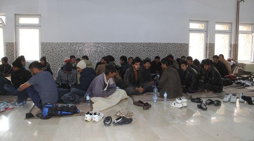 Donma Tehlikesi Yaşayan Ka&ccedil;akları Mehmet&ccedil;ik Kurtardı