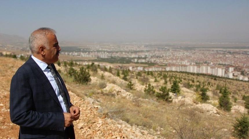 Beydağı Ağa&ccedil;landırma Sahasında Başarı Y&uuml;zde 90