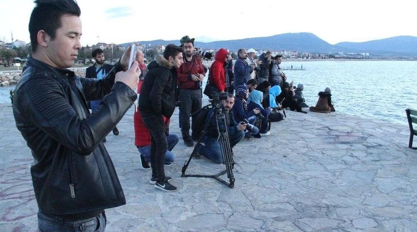 Beyşehir G&ouml;l&uuml;&rsquo;nde Bahar Yoğunluğu