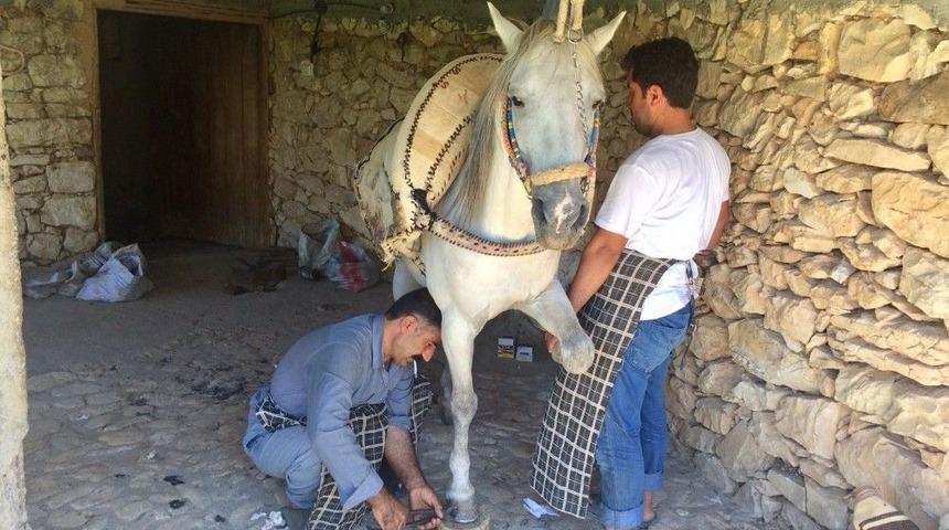 Nalcılık Kaybolmaya Yüz Tuttu