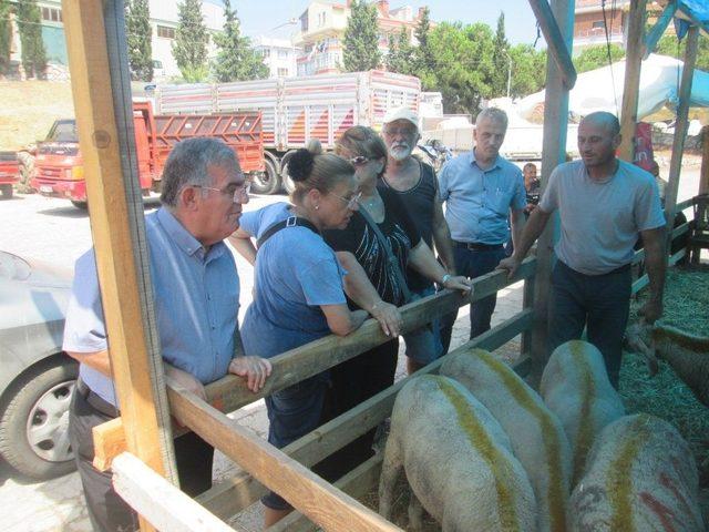 Erdek Kaymakamı Çalık: “kurban Derilerinizi Thk’na Bağışlayın”