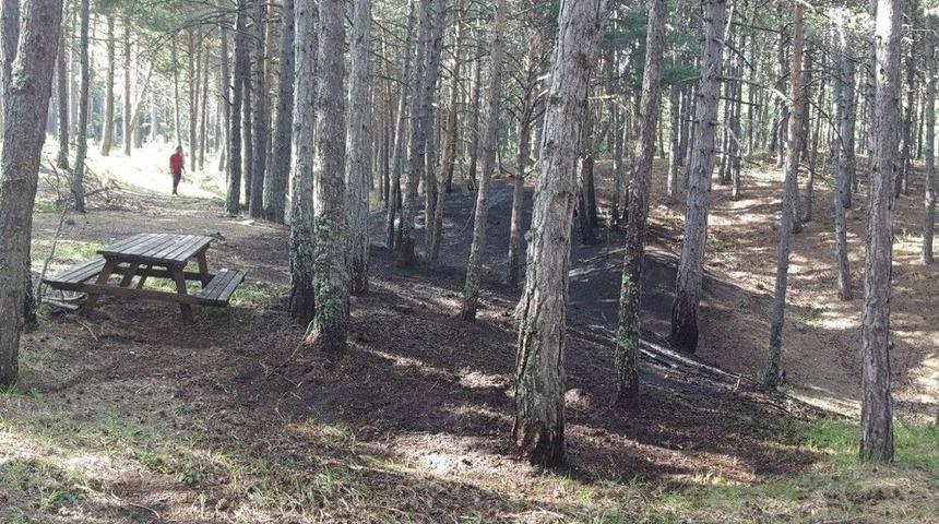 Tabiat Parkındaki Yangın Korkuttu