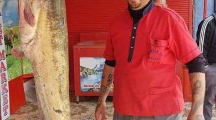 (&ouml;zel Haber) Oltayla 45 Kiloluk Yayın Balığı Yakaladı