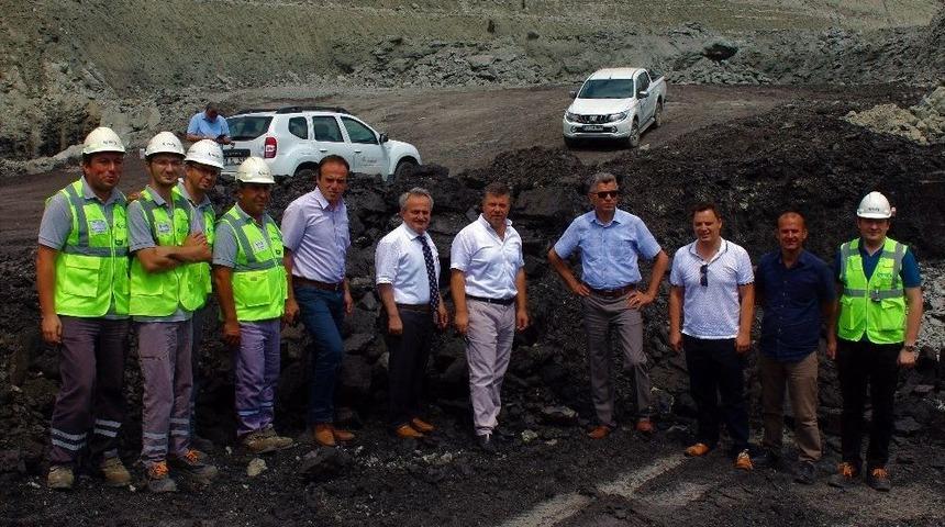 K&ouml;m&uuml;r &Uuml;retimi Sona Eren Araziler Meraya D&ouml;n&uuml;ş&uuml;yor