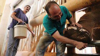 5 Tonluk Fillerin Bayram Temizliği