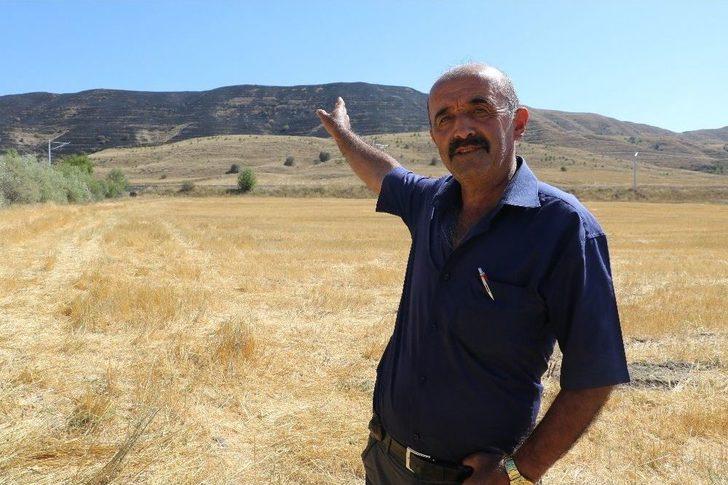 Orman Olamadan Kül Oldular G5