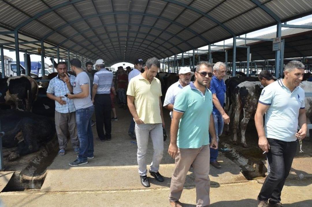 Denizli&rsquo;de Kurbanlık Hayvan Alışverişleri Hızlandı