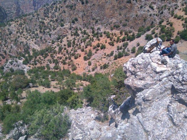 Karaman&rsquo;da Yaban Domuzu S&uuml;rek Avı D&uuml;zenlendi 1