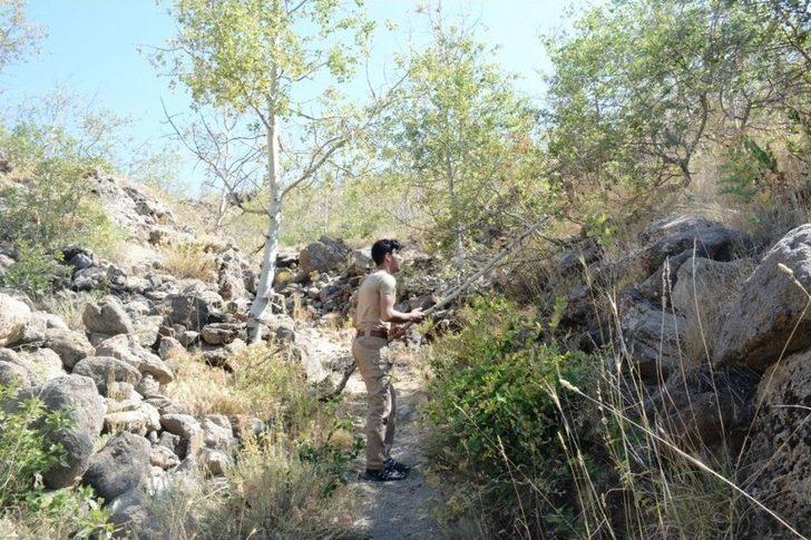 (özel) Nemrut Krater Gölü’nde "ayı" Sürprizi G1