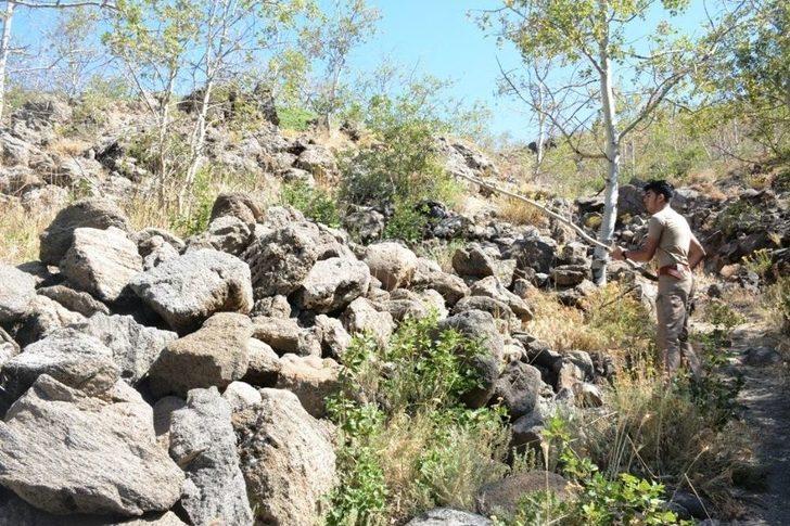(özel) Nemrut Krater Gölü’nde "ayı" Sürprizi G2