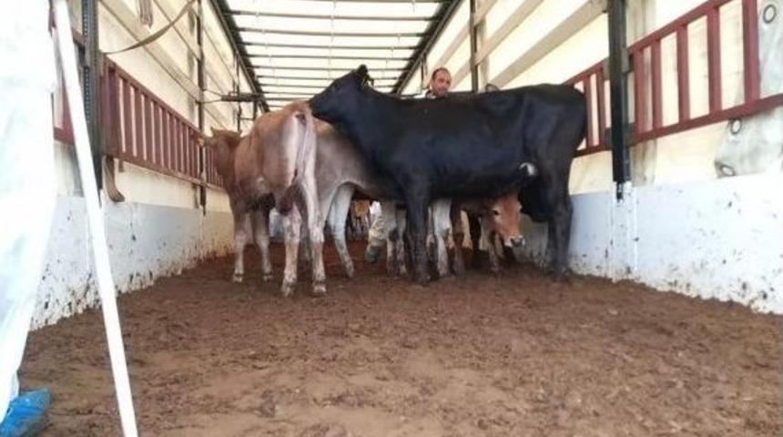 Genç Çiftçi Hibe Sonuçları Açıklandı