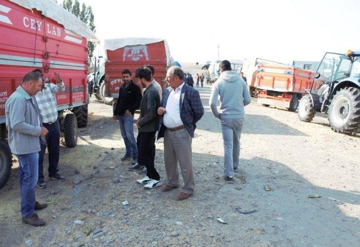 Ağrı’da Kışın 1 Liraya Satılan Saman 30 Kuruştan Satılıyor G1