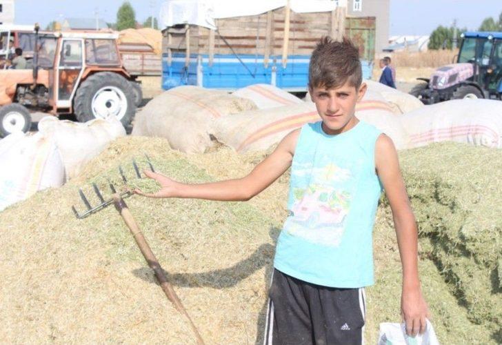 Ağrı’da Kışın 1 Liraya Satılan Saman 30 Kuruştan Satılıyor G2