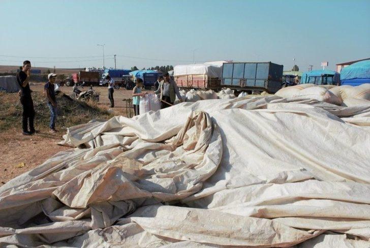 Ağrı’da Kışın 1 Liraya Satılan Saman 30 Kuruştan Satılıyor G4