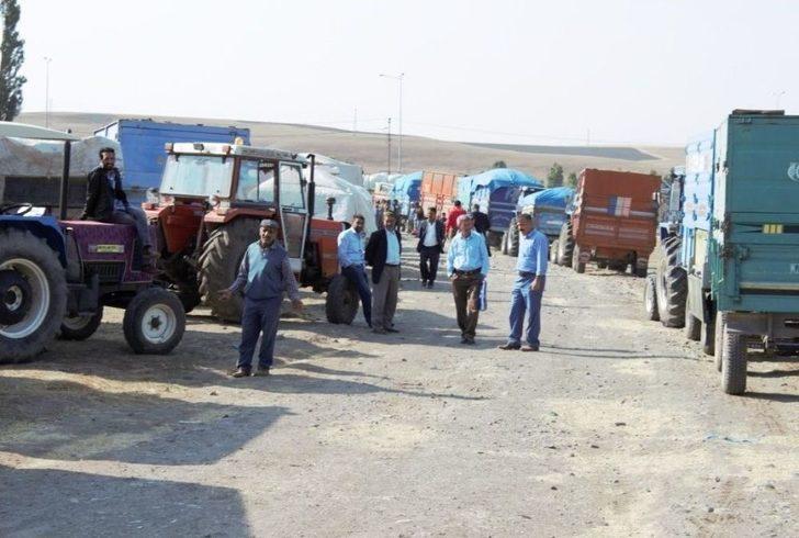 Ağrı’da Kışın 1 Liraya Satılan Saman 30 Kuruştan Satılıyor G5