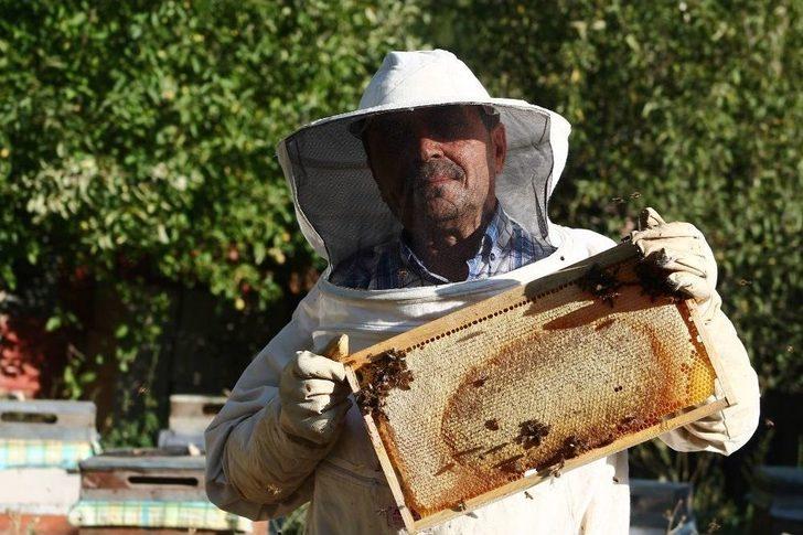Bayburtlu Arıcıların “ballı” Mesaisi G2