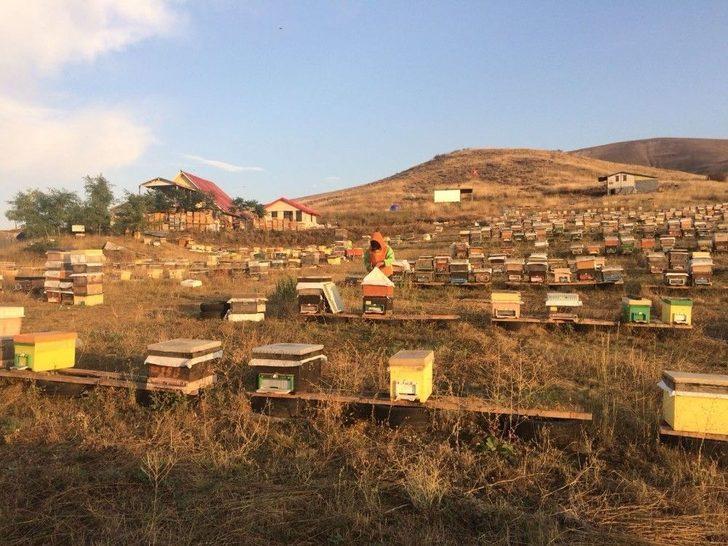 Bayburtlu Arıcıların “ballı” Mesaisi G4