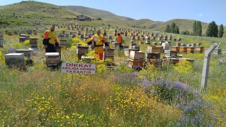 Bayburtlu Arıcıların “ballı” Mesaisi G5