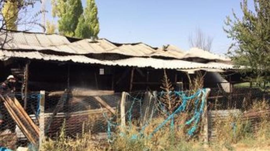 Yangında 2 B&uuml;y&uuml;kbaş Hayvan Telef Oldu