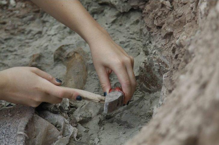 Çankırı’da Omurgalı Fosil Kazıları Başladı G1