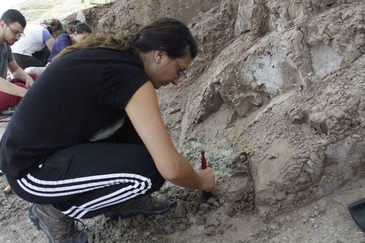 Çankırı’da Omurgalı Fosil Kazıları Başladı G2