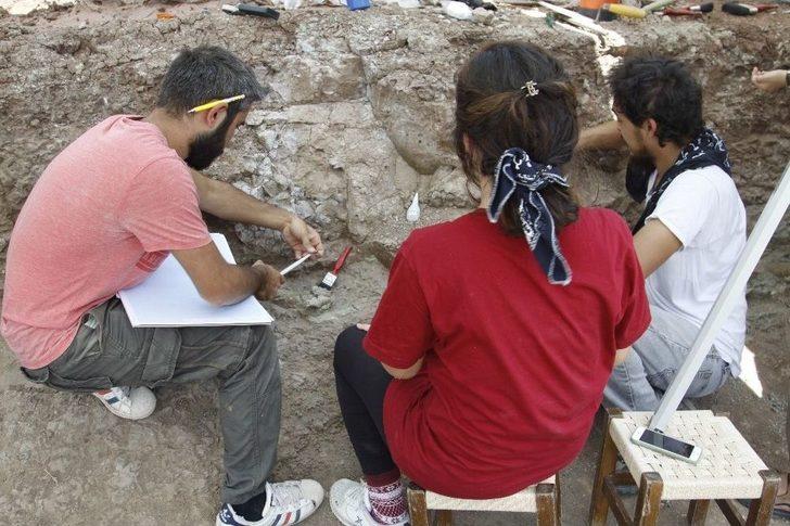 Çankırı’da Omurgalı Fosil Kazıları Başladı G3