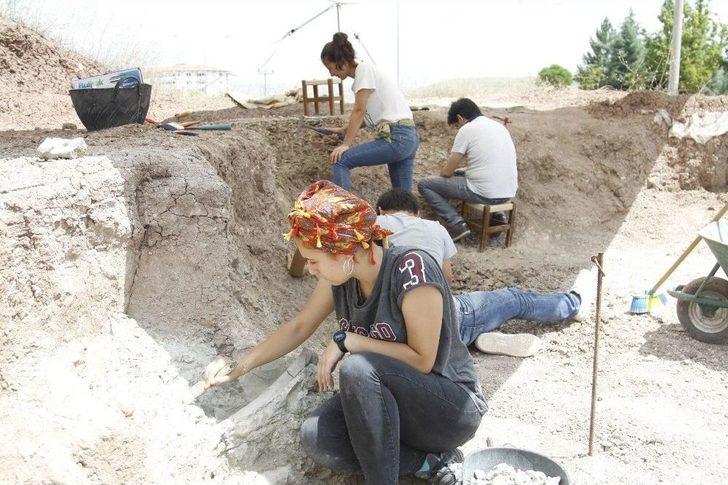 Çankırı’da Omurgalı Fosil Kazıları Başladı G4