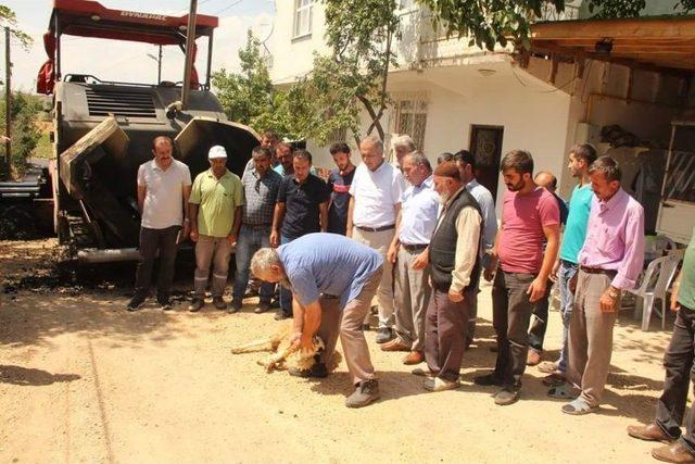 Sokakları Asfaltlanan Mahalleli Kurban Kesti