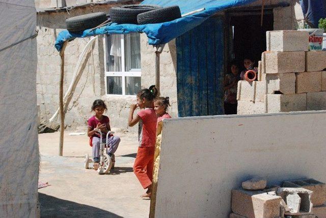 Baba Doktoru Darp Edip Cezaevine Girdi, 11 Kişilik Aile Ortada Kaldı