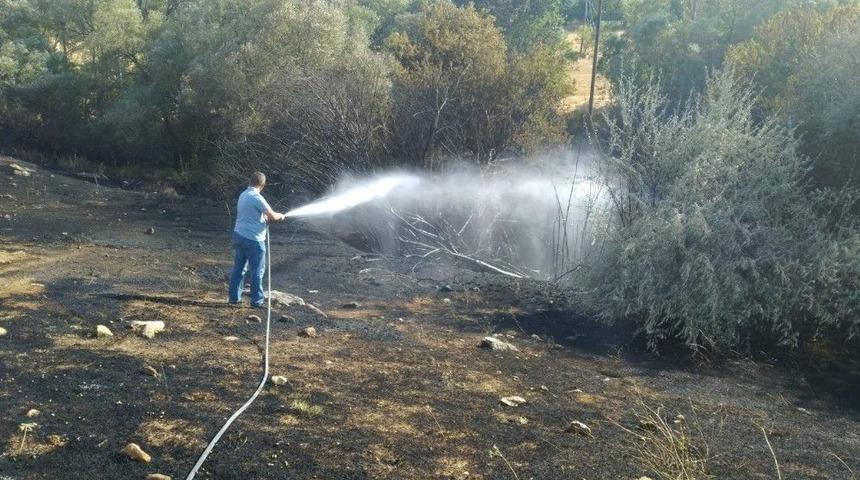 Kuru Otları Yakmak İsterken Araziyi Yaktı