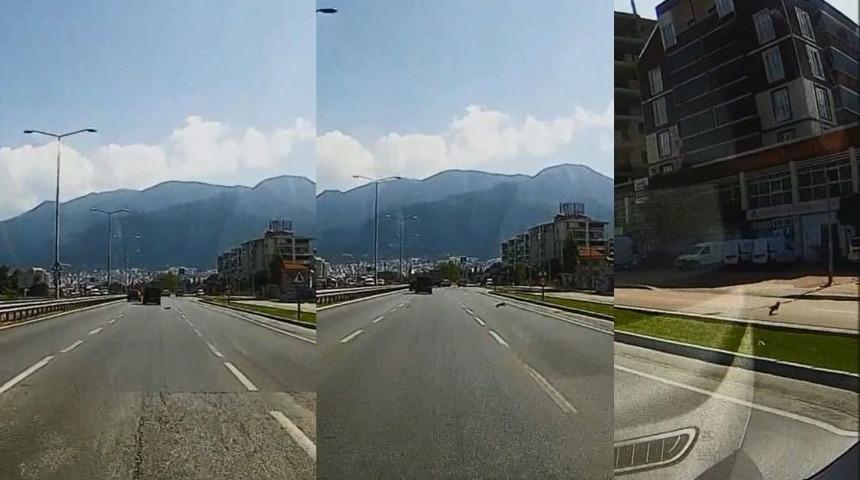 Bursa&rsquo;da Motora Saklanan Kedi Kilometrelerce Dolaştı