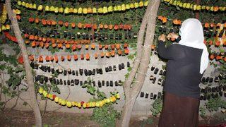 Silvan’da Kurutmalık Sezonu Başladı