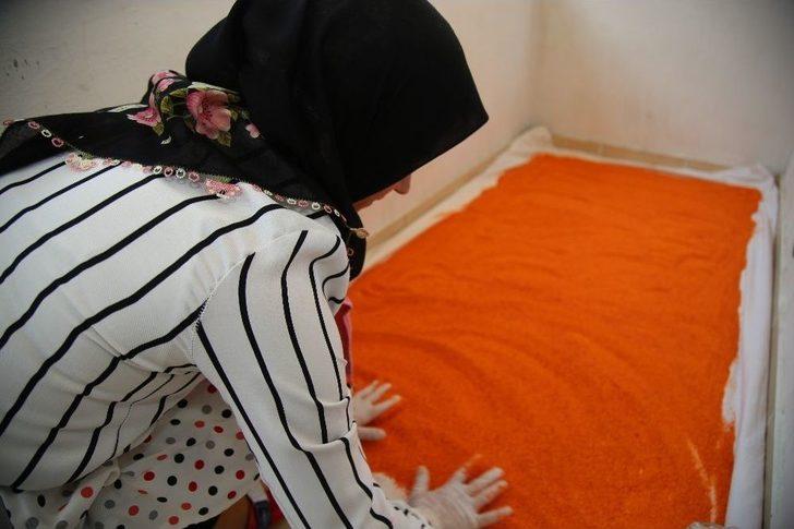 Tokat’ın Meşhur Kırmızı Biber Tarhanası G2