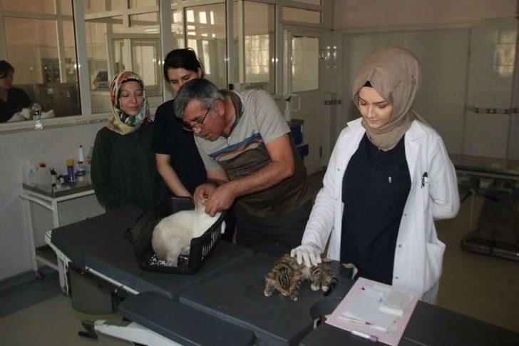 Selçuk Üniversitesinden Avrupa Standartlarında İkinci Hayvan Hastanesi G2