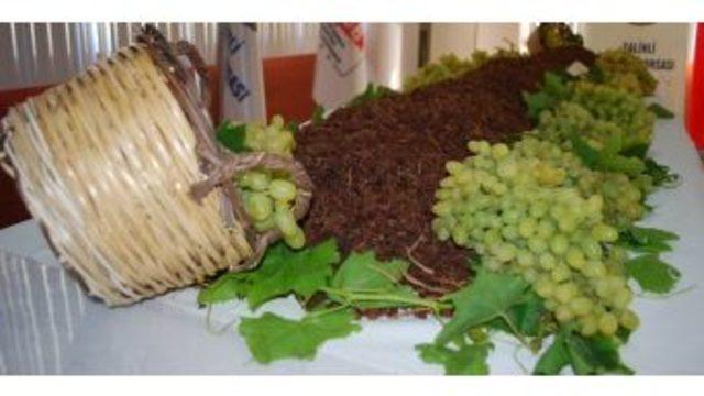 On Numara Üzüm 10 Lira