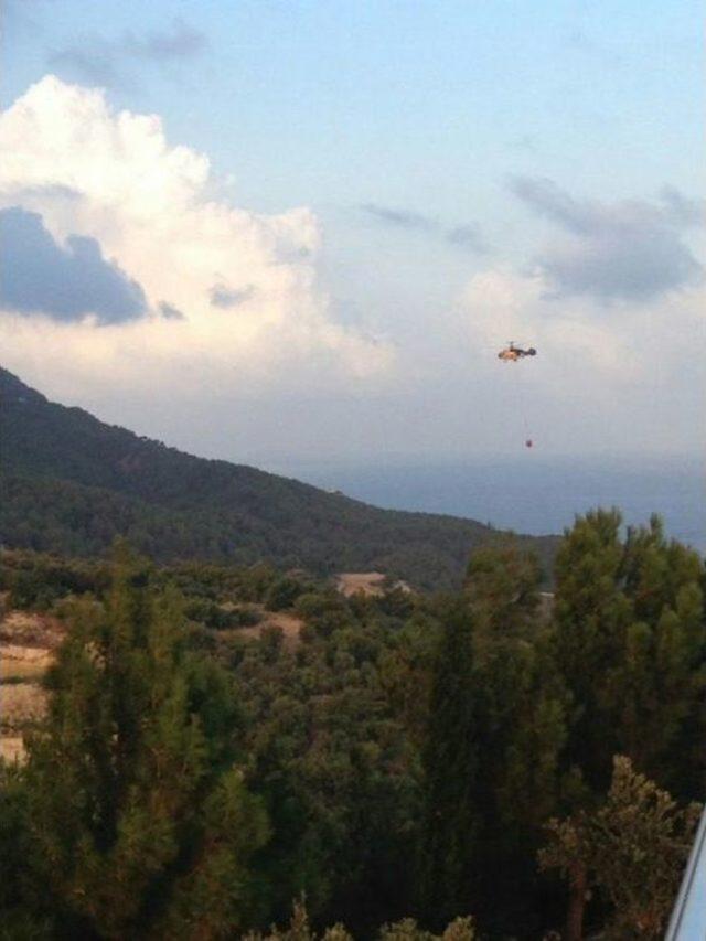 Hatay’daki Orman Yangınında Soğutma Çalışmaları Sürüyor