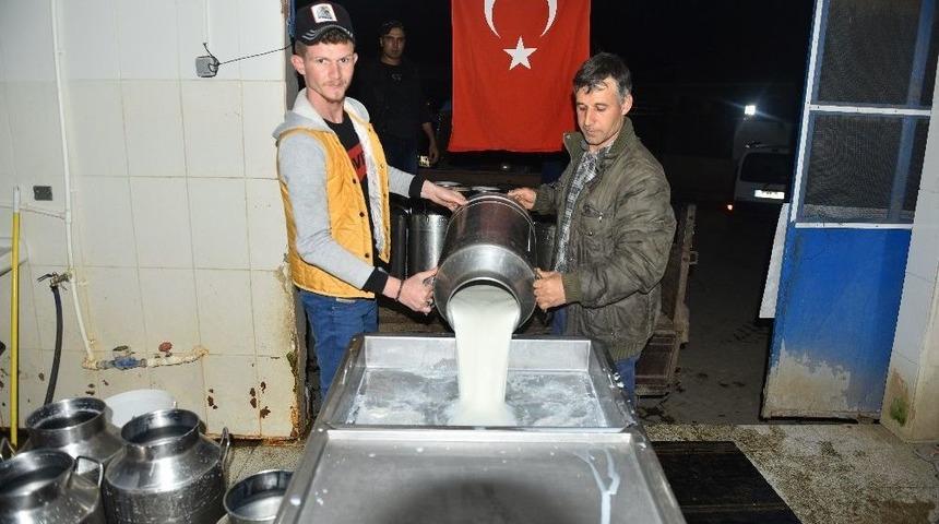 Süt Gelirini Mehmetçik İçin Bağışladılar