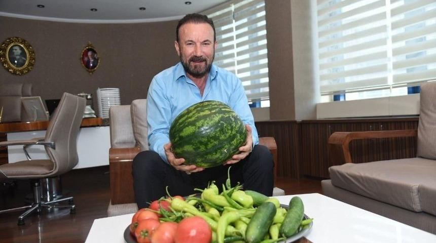 Uygulama Bah&ccedil;esinin İlk Mahsulleri Doğan&rsquo;a