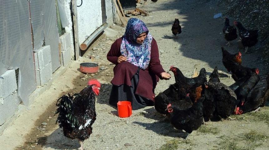 Kadın Girişimci K&uuml;mesini B&uuml;y&uuml;tmek İ&ccedil;in Destek Bekliyor