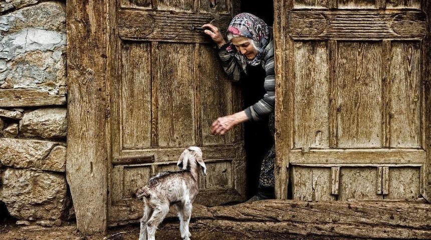 Can Yoldaşım İsimli Fotoğraf Yarışmasının Sonuçları Açıklandı