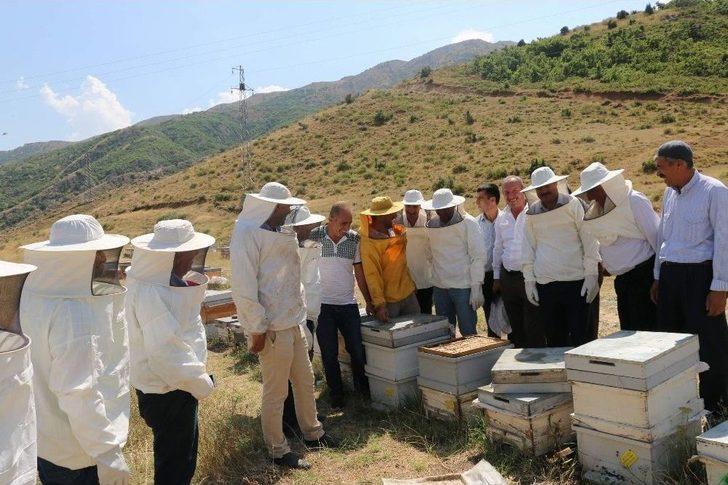 Siirt’te Yılın İlk Balı Toplandı G2