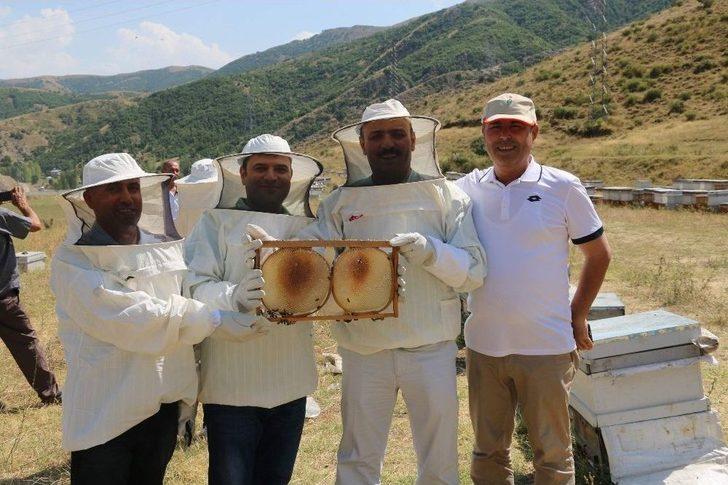 Siirt’te Yılın İlk Balı Toplandı G4
