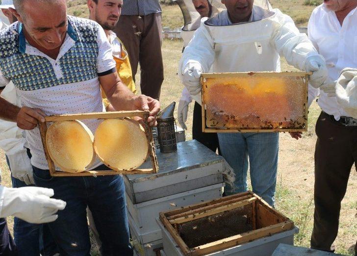 Siirt’te Yılın İlk Balı Toplandı G5