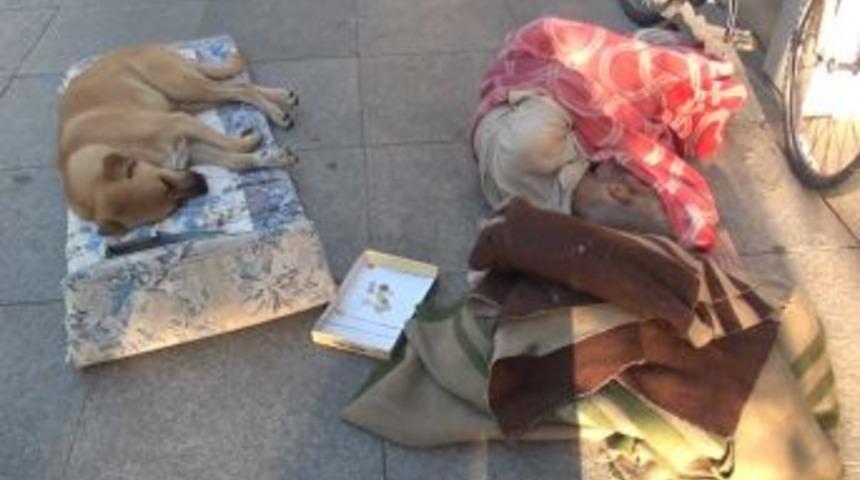 (özel)yıllardır Bir Cadde Üzerinde Köpekle Birlikte Uyuyan Adam Yürekleri Sızlattı