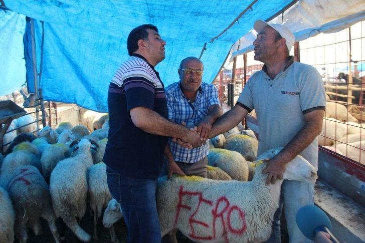 Konya’da Kurbanlıklar Alıcılarını Bekliyor G4